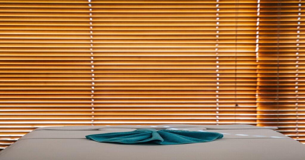 image of a window blind